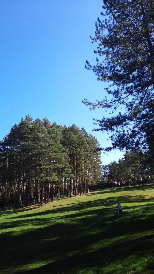 Apartmani Sloboda Zlatibor Exterior foto